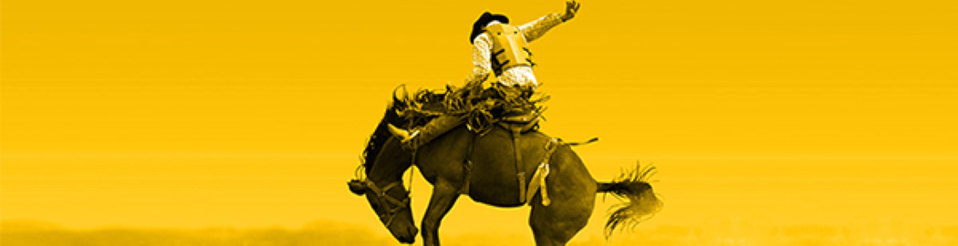 Large Rodeo Banner 